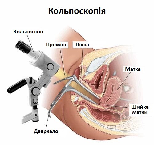 Савон – українська мережа медичних центрів та лабораторій